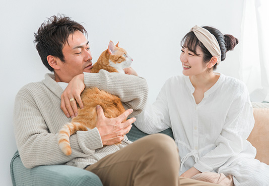 食育キャットコミュニケーター養成講座